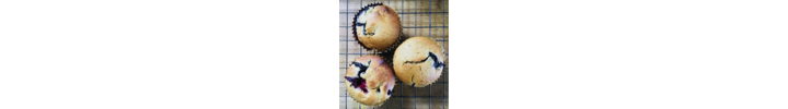 4.11 Blueberry Muffins.png