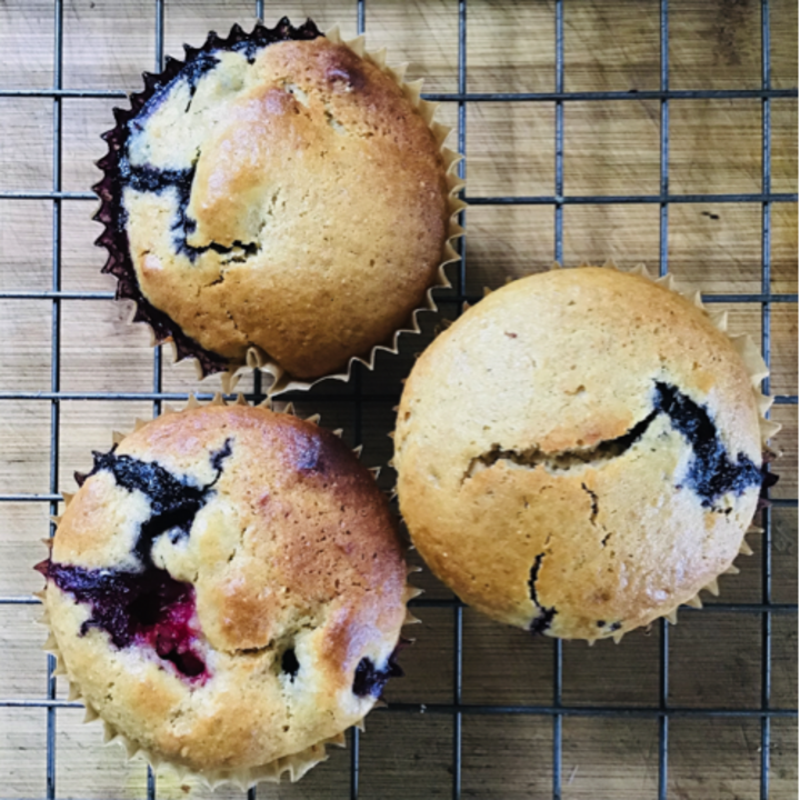 4.11 Blueberry Muffins.png